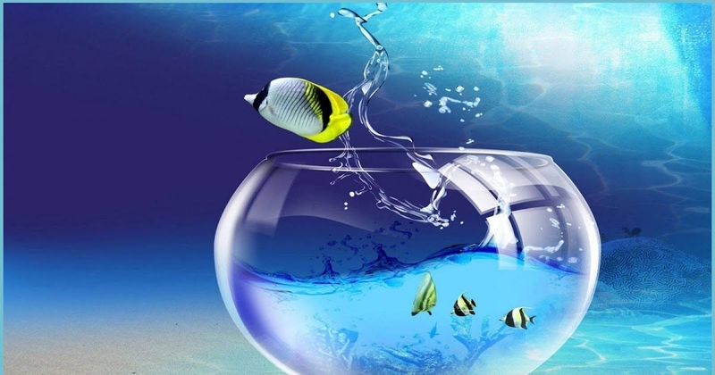 ứng dụng Live Wallpapers cho Android