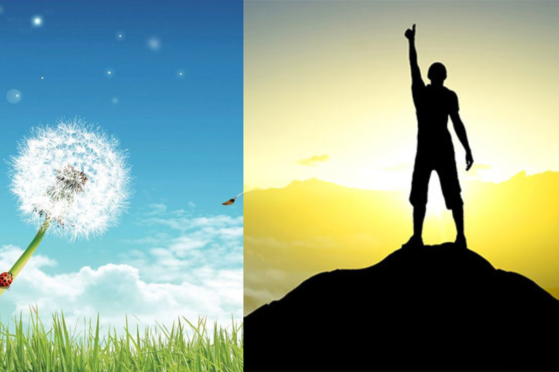 Ước mơ là gì (1)