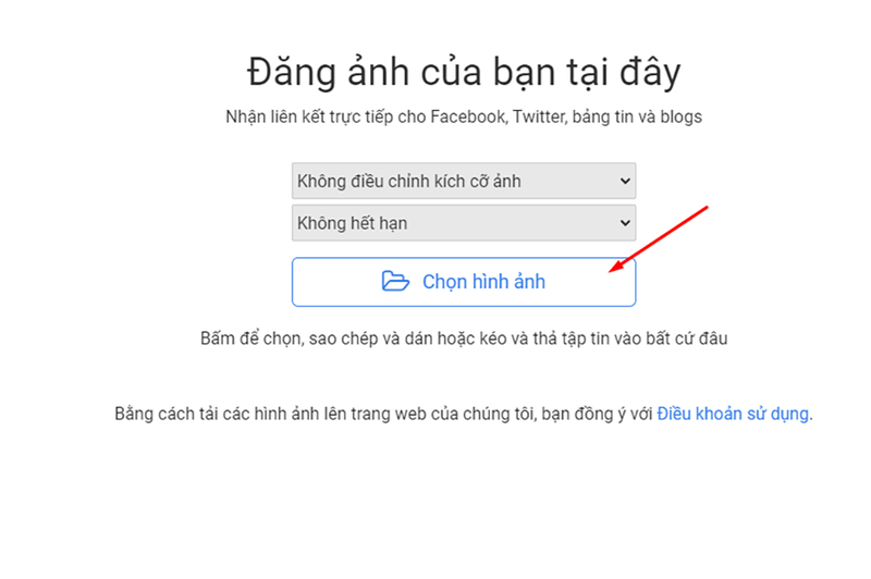 up ảnh lấy link (hình 24)