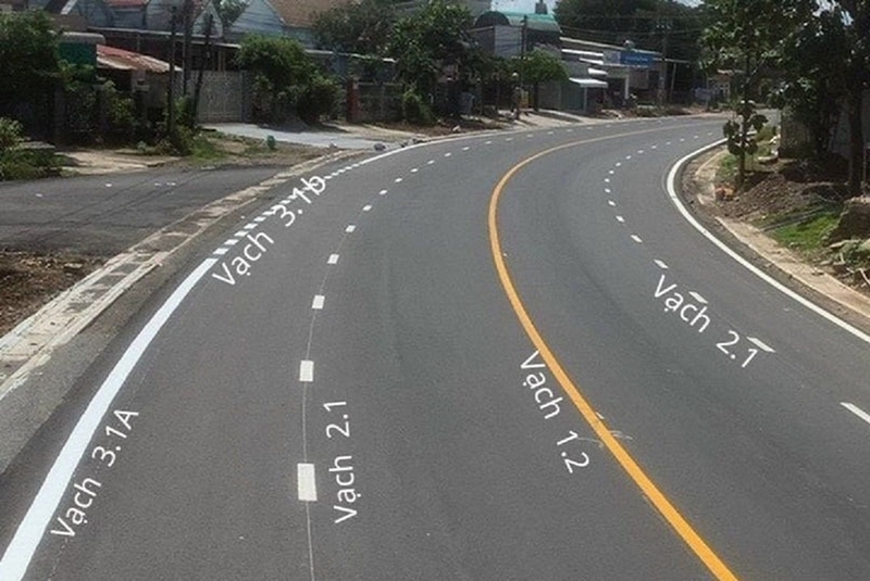 vạch 3.1 ảnh 2