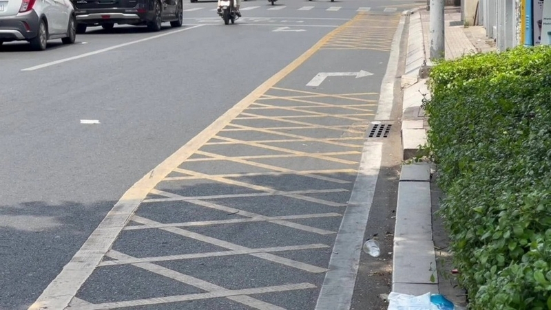 Vạch mắt võng là gì ảnh 1