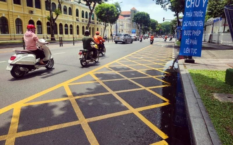 Vạch mắt võng là gì ảnh 4