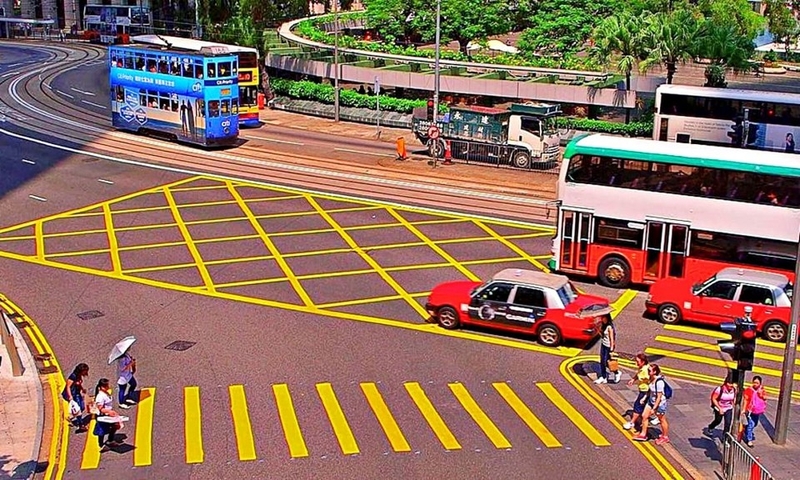 Vạch mắt võng là gì ảnh 5
