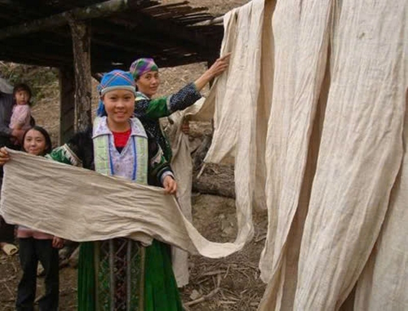vải đay ảnh 3