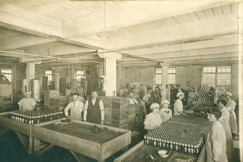 Lịch sử hình thành của vải Jersey