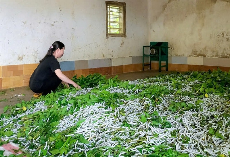 Vải phi lụa ảnh 2