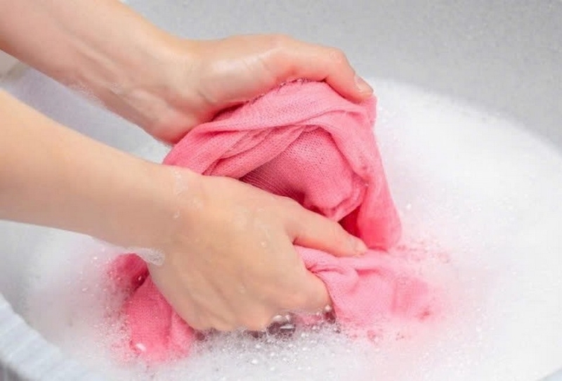 vải ruby ảnh 8
