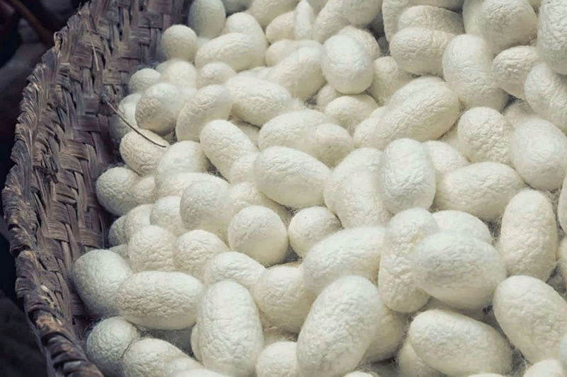 Vải thô đũi ảnh 2