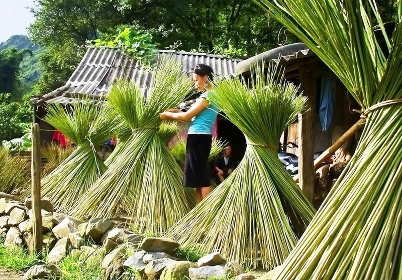 Vải tole ảnh 2