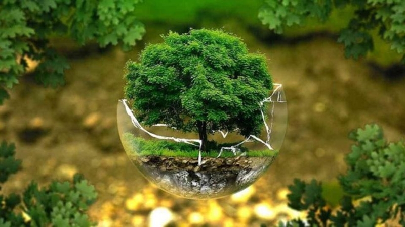 Biện pháp bảo vệ tầng Ozon