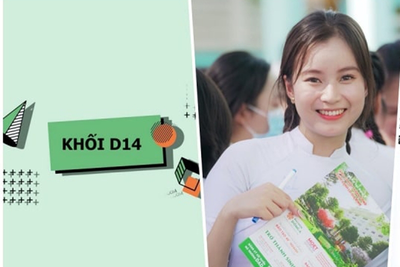 Văn Anh Sử là khối gì 6