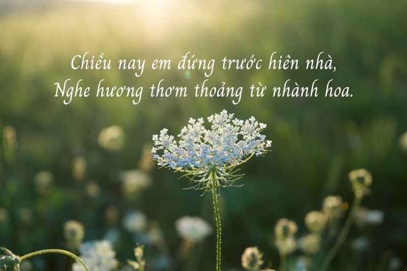 vần chân là gì ảnh 5