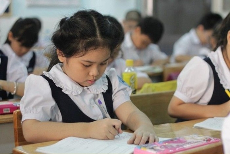 văn tả cây xoài lớp 4 ngắn gọn 1