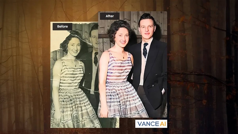 VanceAI - 06