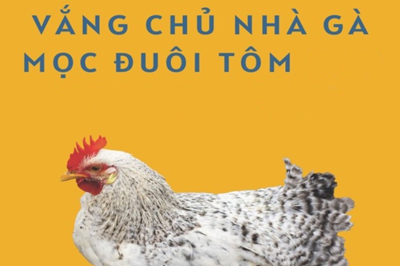 Vắng chủ nhà gà mọc đuôi tôm 1
