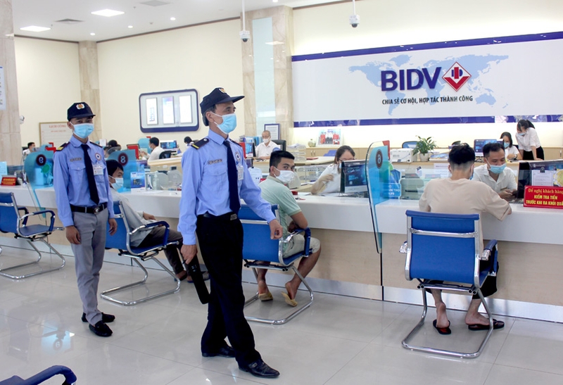 vật mang tin là gì 5.jpg