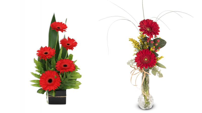 Kết hợp màu tương phản