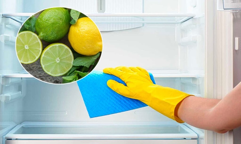 vệ sinh tủ lạnh định kỳ bao lâu hình 3