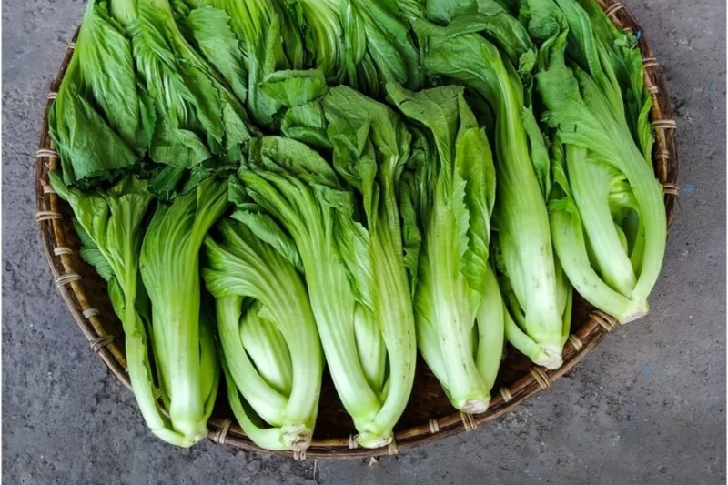vì sao dưa muối bị khú (ảnh 2)