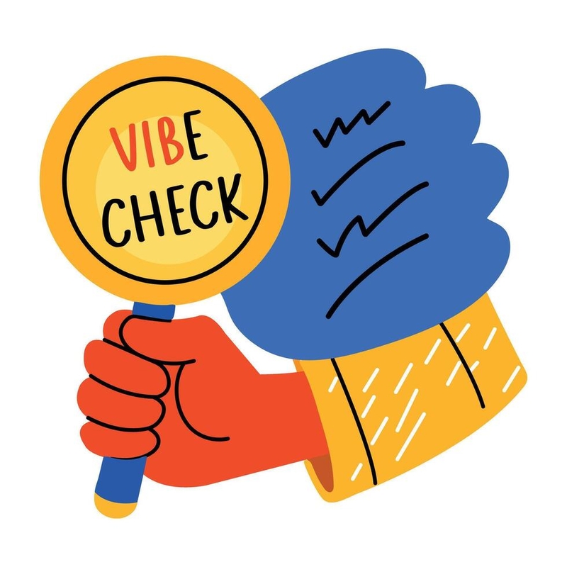 vibe check là gì 1.jpg