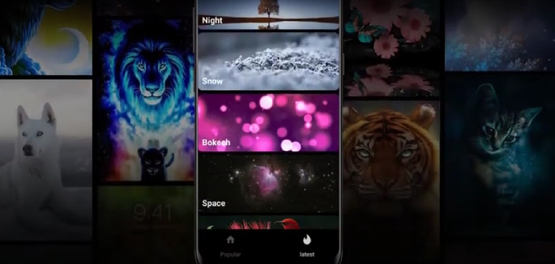 video live wallpapers maker ảnh 8