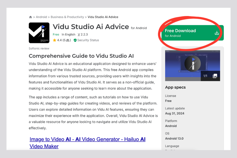 vidu studio (6)
