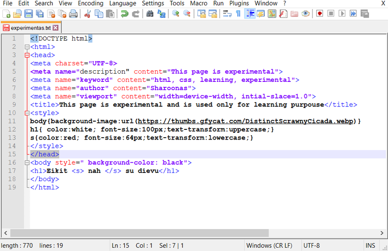 notepad++