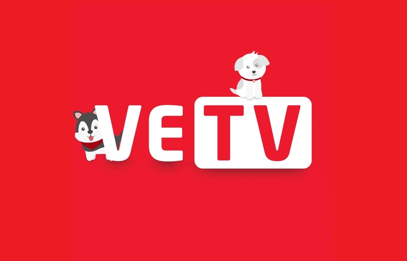 vietnam esports tv hình 2