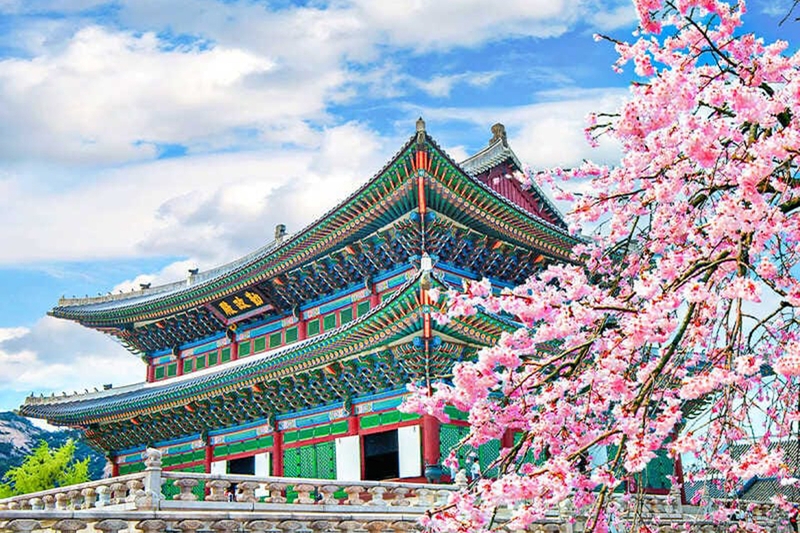 Visa du lịch Hàn Quốc cần gì 10