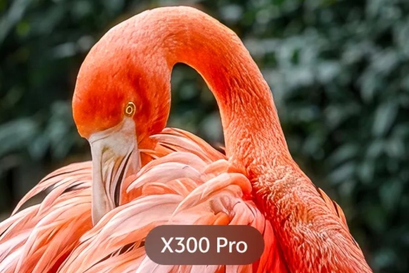 vivo x300 pro giá bao nhiêu (ảnh 8)