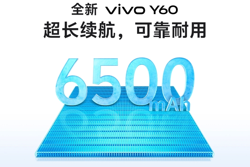 vivo-y60-ra-mat-voi-pin-6500-mah-207001-3.jpg