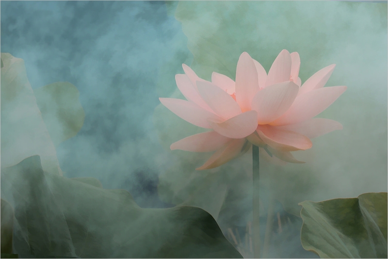 Vô thường là gì 2