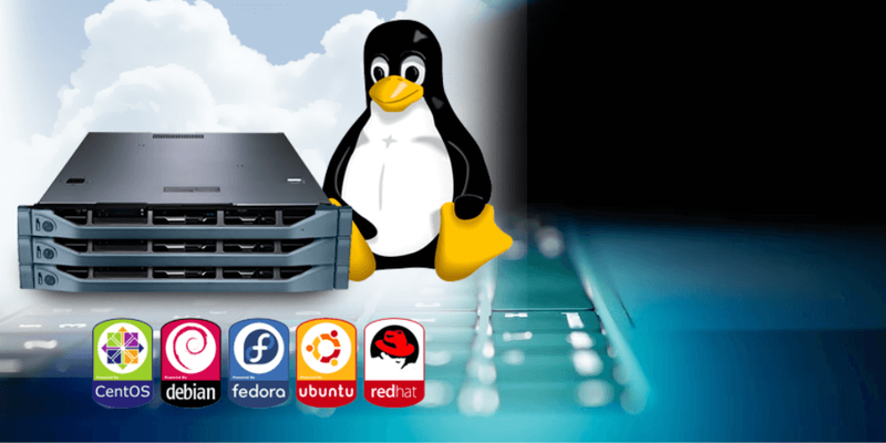 Những lý do nên sử dụng VPS Linux