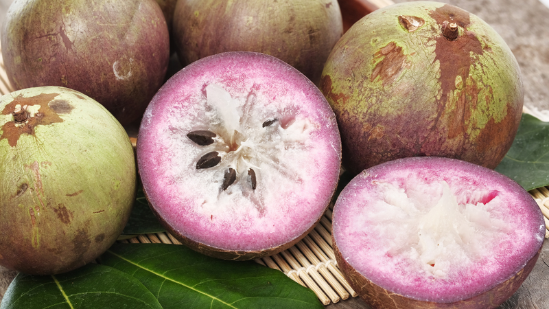 Vú sữa bao nhiêu calo 1