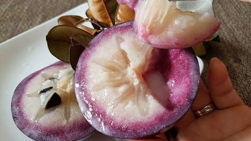Vú sữa bao nhiêu calo 2