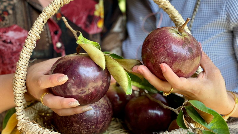 Vú sữa bao nhiêu calo 4
