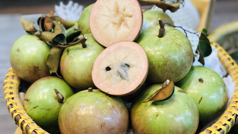 Vú sữa bao nhiêu calo 5
