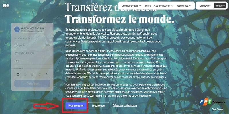 wetransfer hình 7