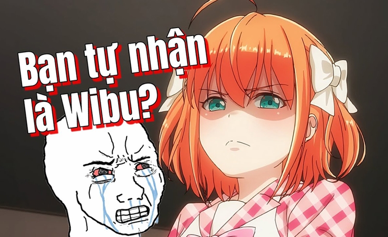 Ảnh hưởng tích cực và tiêu cực của "wibu" trong đời sống