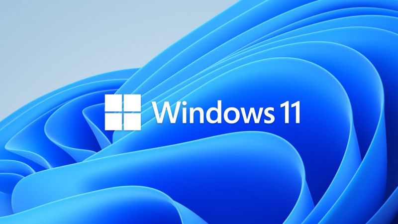 Win 11 không update được 1