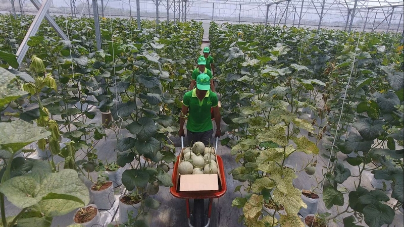 xã Hóc Môn của TP.HCM 5.jpg