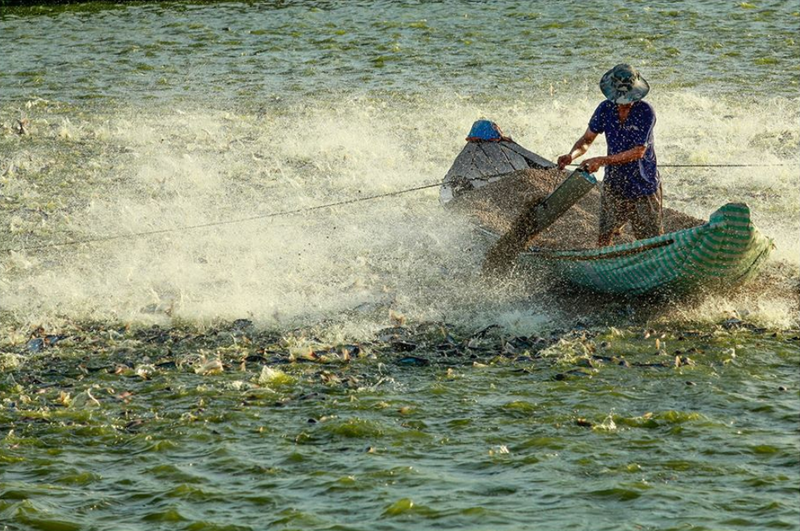 xã Tân Hồng của Đồng Tháp 4.png