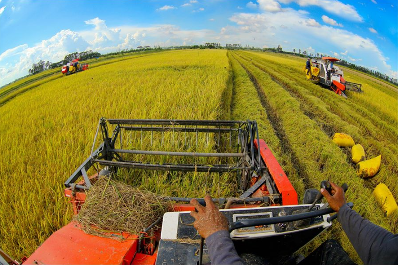 xã Tân Hồng của Đồng Tháp 6.png