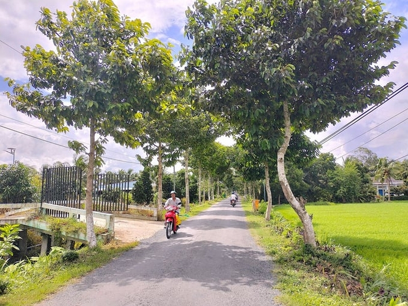 xã An Bình của Vĩnh Long ảnh 1