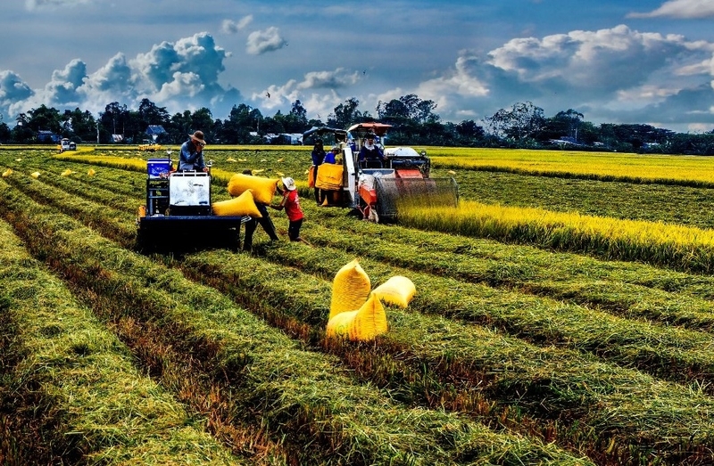 xã Bình Long của An Giang ảnh 2