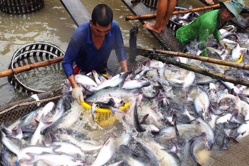 Xã Bình Thạnh của An Giang 3