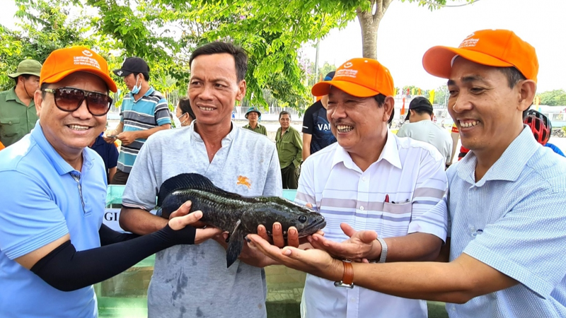 xã Cái Nước của Cà Mau sau sáp nhập 2