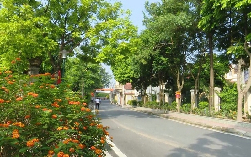 xã đan phượng ảnh 1