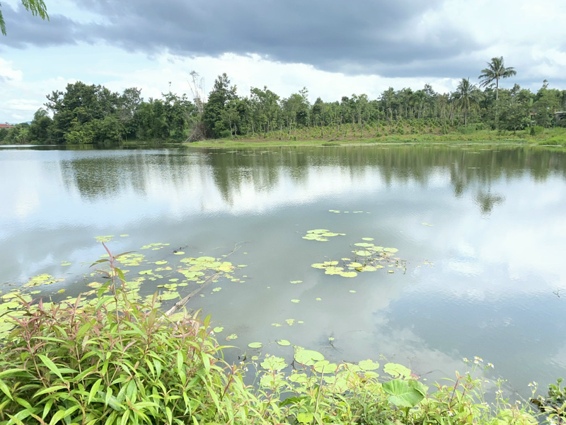 Nông nghiệp làm nền tảng