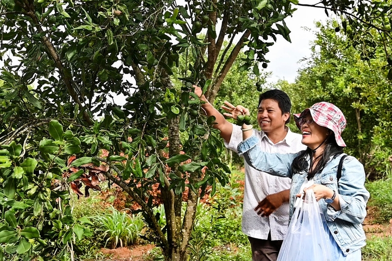 Xã Hậu Lộc của Vĩnh Long 4